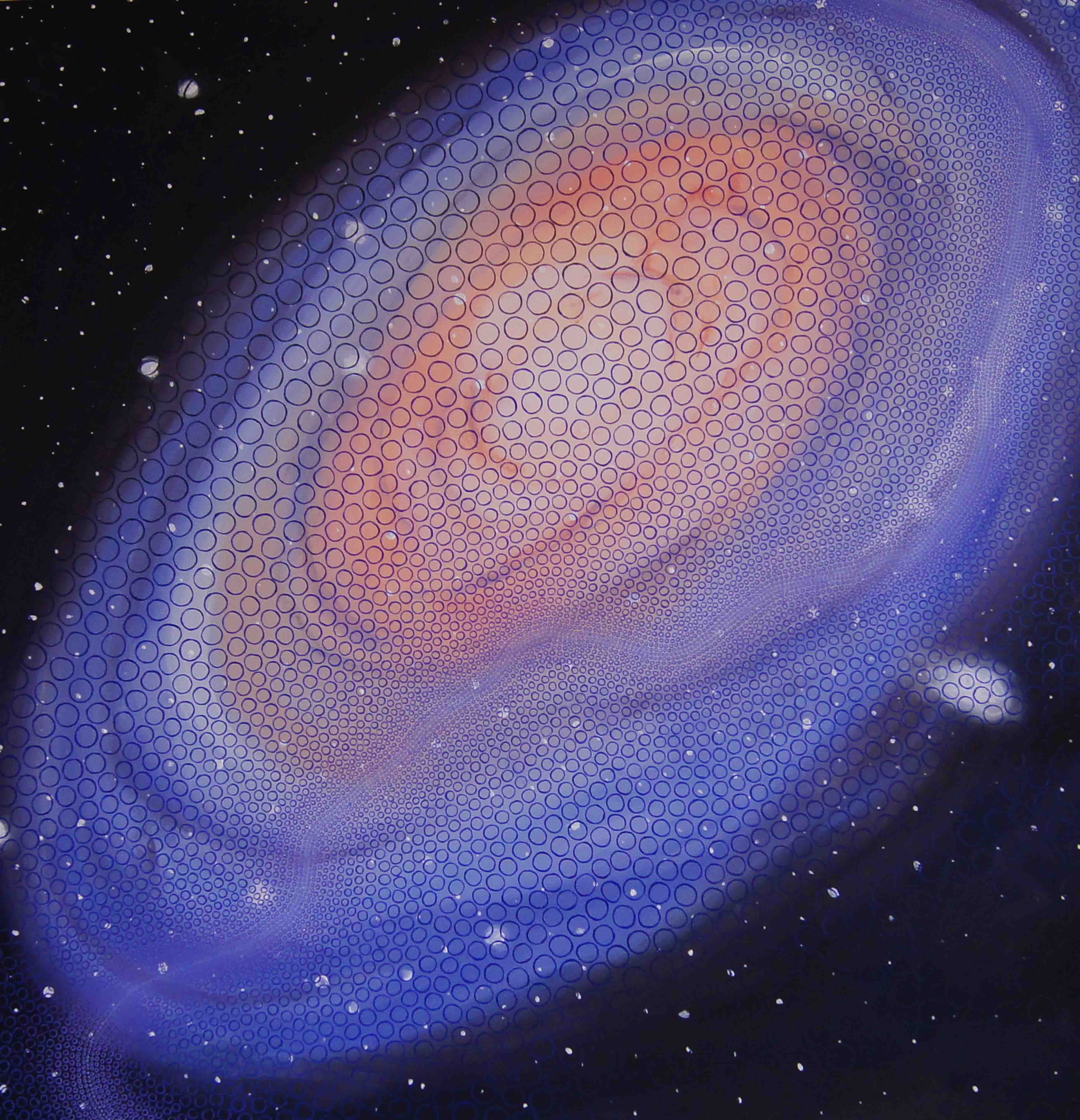 Andromeda Galaxy, oljemaleri av Hilde Søndrol