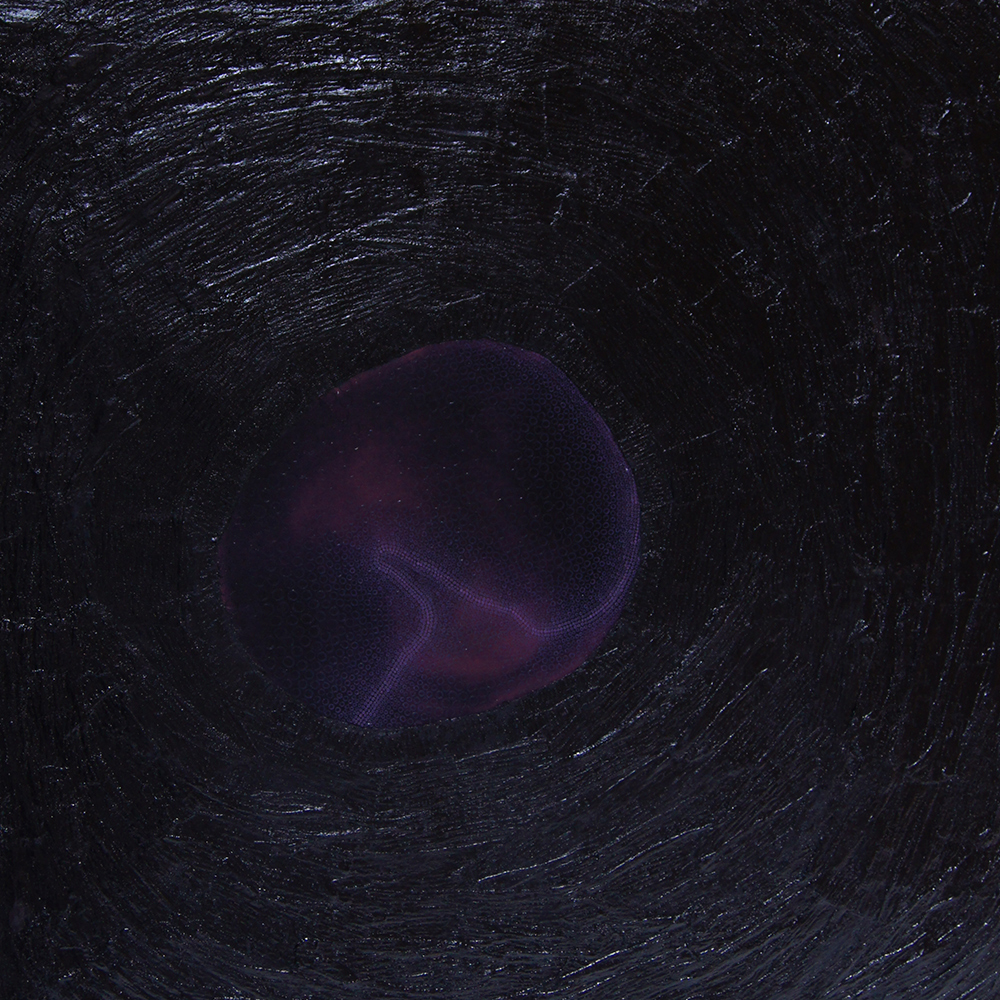 Black Hole, oljemaleri av Hilde Søndrol